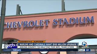 $100 million renovations proposed for Roger Dean Stadium