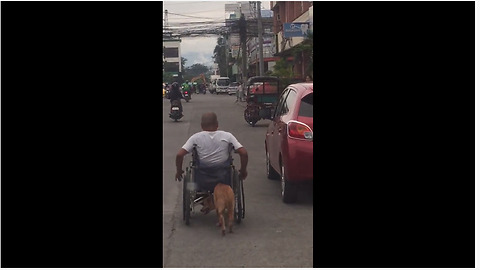 Loyal Dog Helps Paralyzed Owner Push His Wheelchair