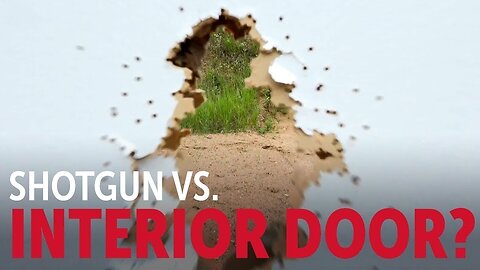 Self Defense Gun Using the Birdshot: Into the Fray Episode 230