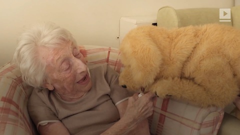 How a Fake Dog Is Bringing Real Love to the Elderly