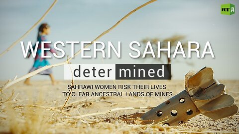 Western Sahara: Determined | RT Documentary