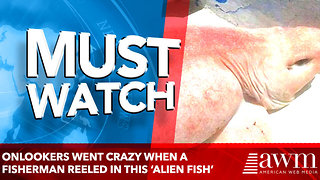 Onlookers Went Crazy When A Fisherman Reeled In This ‘Alien Fish’