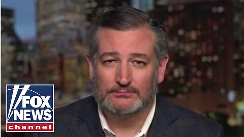 Ted Cruz: Biden views migrants flown to Texas as future Dem votes