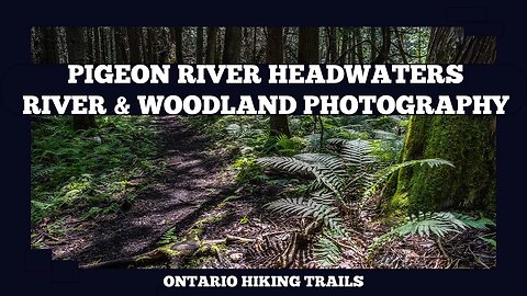Pigeon River Headwaters River And Woodland Photography
