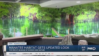 Manatee habitat gets updated look