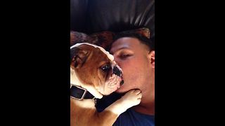 "This Bulldog Loves Endless Kisses"