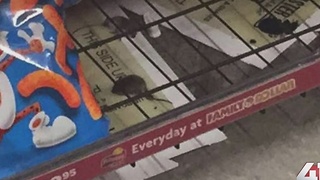 KC Family Dollar Store closed due to mice