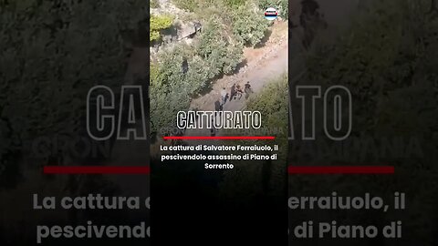 #cattura di Salvatore Ferraiuolo, il pescivendolo assassino di #PianodiSorrento #cronacadinapoli