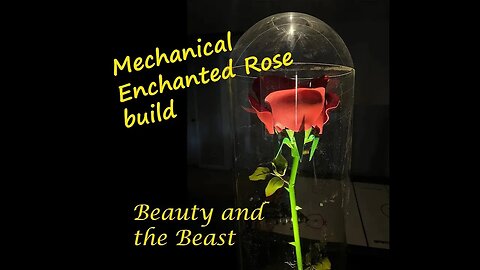Beauty and the Beast Enchanted Rose. Remote control rose petals drop demo