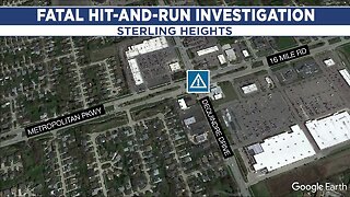 Police search for driver in deadly hit-and-run in Sterling Heights