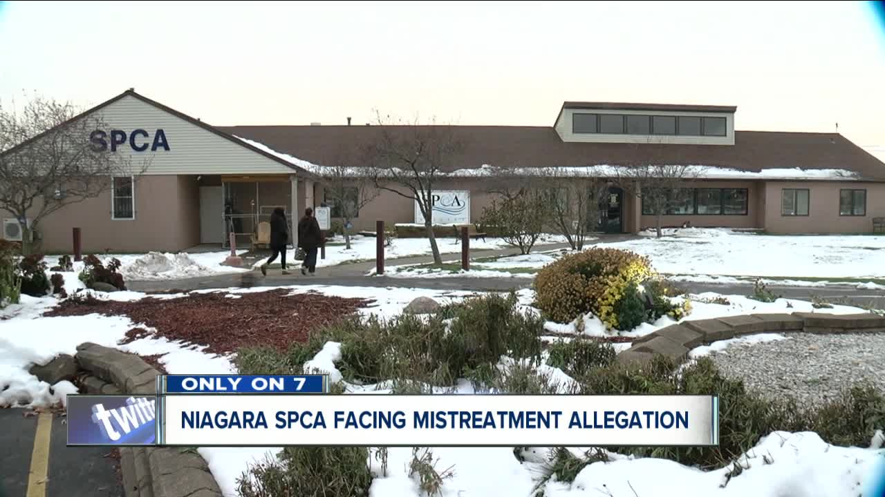 SPCA of Niagara facing mistreatment allegations
