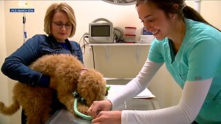 Viewers donate thousands to help Ft. Collins veterinary clinic for seniors