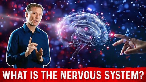 What is the Nervous System? Explained By Dr. Berg
