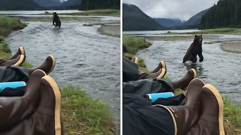 Extreme up-close brown bear encounter in Alaska