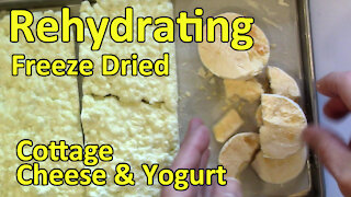 Rehydrating Test - Yogurt & Cottage Cheese