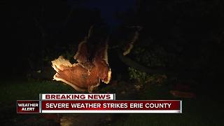 Storm damage reported in Erie County