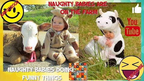Naughty Babies Are On The Farm - Naughty Babies Doing Funny Things
