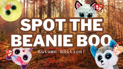 Can You Find ALL the Beanie Boos in This Video!? 👀