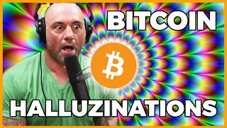 Bitcoin Protects You From Illusions - Here's Why