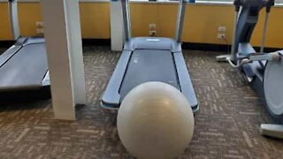 Son ballon d'exercice est avalé par un tapis de course!