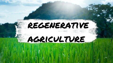 What is Regenerative Agriculture/Permaculture?