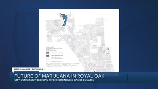 Royal Oak city commissioners to vote on placement of marijuana businesses