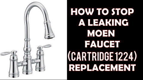 Repair Leaky Moen Faucet Fix |1224 Cartridge Replacement