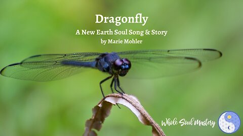 Dragonfly ~ An Inspirational New Earth Soul Song & Story