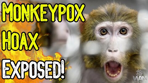 MONKEYPOX HOAX EXPOSED! - They're DESPERATE For Compliance! - Public Health Emergency EXTENDED!