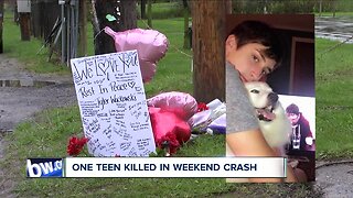 Teen killed in weekend roll-over crash