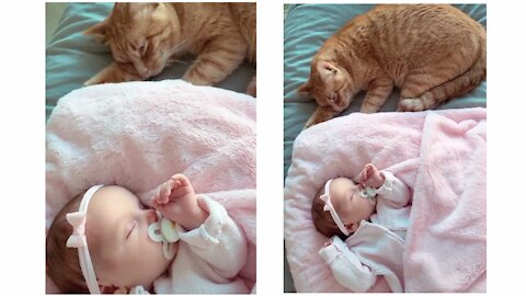 Cute cat is waiting for sleeping of Baby and taking care of baby