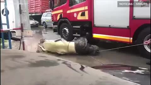 Monstro! Crocodilo gigante capturado na Malásia