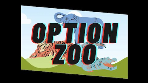 Option Zoo Intro Video