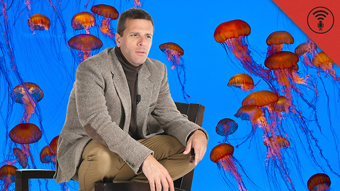 Stuff You Should Know: Don't Be Dumb: If I Pee on a Jellyfish Sting Will It Really Help?