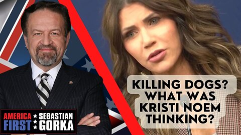 Sebastian Gorka LIVE: Killing dogs? What was Kristi Noem thinking?