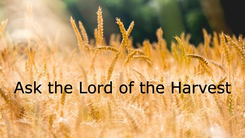 July 24, 2022 - Ask the Lord of the Harvest - Luke 10:1-12, 16