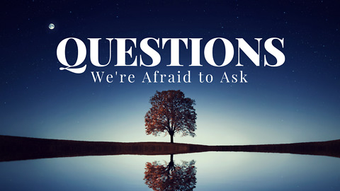 Questions We're Afraid to Ask