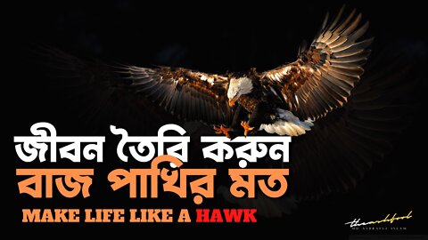 The Hawk | Make Your Life Like a Hawk | Motivational Video