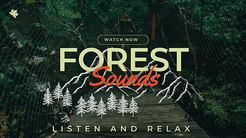 40 Mins of Relaxing Forest Nature Sounds for Stress Relief and Deep Sleep" Depression anxiety relief