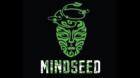 MINDSEED - Fathom This... (Audio)