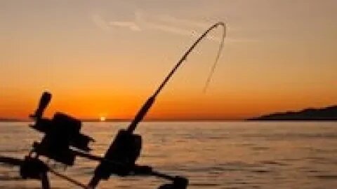 #shorts#fishing#Using a Fishing Rod