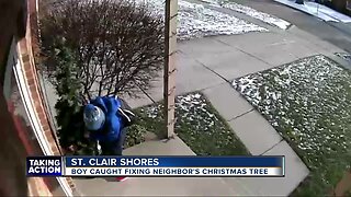 Boy caught fixing neighbor's Christmas tree