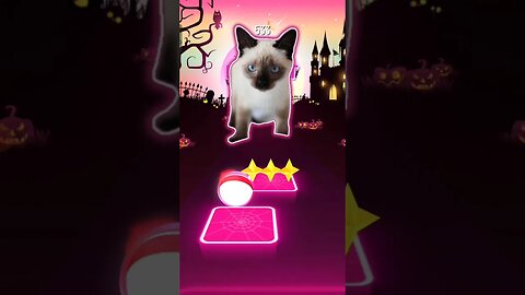 Coffin dance cat part 2 #music #shorts #cat #tileshop #animalsong #mobilegaming