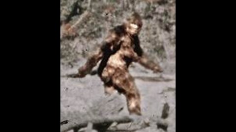 Female Bigfoot Chases Sisters in Southeast Alabama