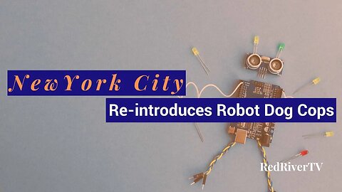 New York City : Rolls Out the Robot Dogs, is it a Grift?