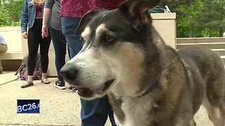 Canine therapy offered to Lawrence University students