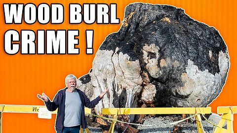 All About Wood Burls Including the Crime Scene Connection