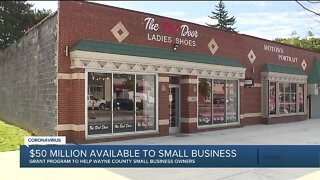 $50M available to small businesses in Wayne County
