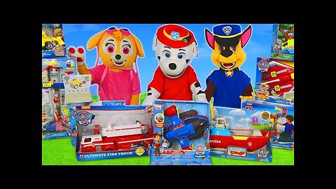 Pup Toy Vehicles for Kids!