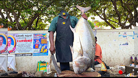 KASIMEDU 🔥 SPEED SELVAM | 30 KG GIANT TREVALLY FISH CUTTING | IN KASIMEDU
